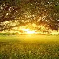 Picture for song 'summer day' by artist 'ItsAKingBeat'