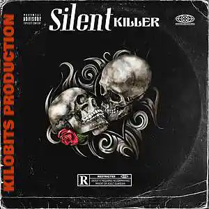 Picture for song 'Silent Killer' by artist 'Kilobits Production'