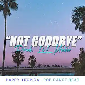 Picture for song ''Not Goodbye ' Upbeat Summer Beat With Guitar' by artist 'LiL Medic Beats'