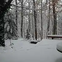 Picture for song '"Angels" by Pamela Illanes-Tatsuoka [1]' by artist 'Pamela Illanes-Tatsuoka'