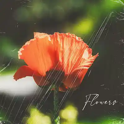 Picture for song 'R&B Type Beat - "Flowers" (Bryson Tiller x SZA)' by artist 'Vintage Luxury Beats'