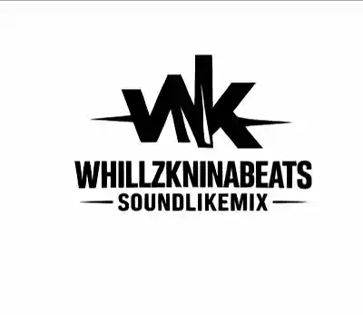 Picture for song 'HARD' by artist 'Whillzkninabeats'