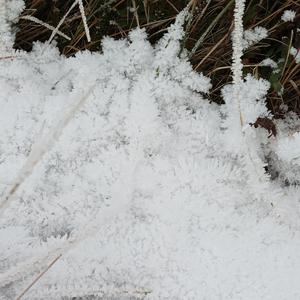 Picture for song '20240125_170958_1_2 1926' by artist '786 scheint-Al'lahs Bande'