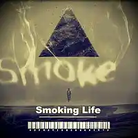 Picture for song '1N SOUND - Smoking Life (outro)' by artist '1N SOUND'