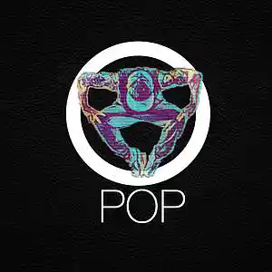 Picture for song 'Pop' by artist '2riffick'