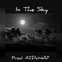 Picture for song 'In The Sky (Prod. A2DaWellZ)' by artist 'A2DaWellZ'