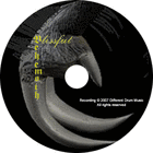 Picture for song 'House on a Hill (instrumental version)' by artist 'Adam Levin'