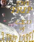 Picture for song 'UTU9.mp3' by artist 'a trip label'