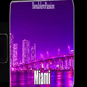 Picture for song 'Miami' by artist 'BandoleroPassion'