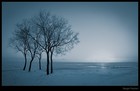 Picture for song 'Winter grey' by artist 'BenSuB'