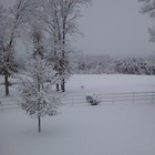 Picture for song 'JANUARY MUSE' by artist 'Bob Sell'