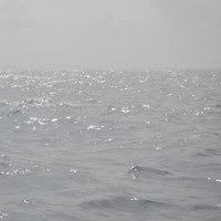 Picture for song 'Her Song' by artist 'Bodetoad'