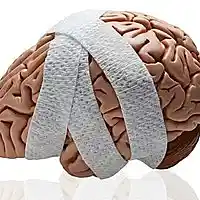 Picture for song 'Brain Damage' by artist 'brainloader'
