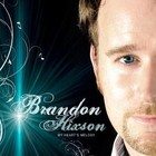 Picture for song 'Over And Over' by artist 'Brandon Hixson'