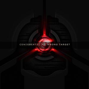 Picture for song 'Wrong Target' by artist 'CenigBeatZ'