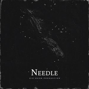 Picture for song 'NEEDLE (Dark Trap Beat X Hard Gangsta Type Beat)' by artist 'Die Naum Production'