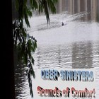 Picture for song 'Lonely Steps' by artist 'DJAJL'