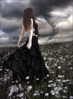 Picture for song 'DJ Ano Present's The Widow above me' by artist 'DJ Ano'