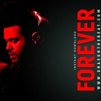 Picture for song 'Forever' by artist 'Dras On The Beat'