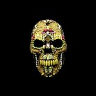 Picture for song 'Wolf' by artist 'Droogies'