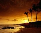Picture for song 'Sunset *Not for Sale*' by artist 'Dutchman Music'