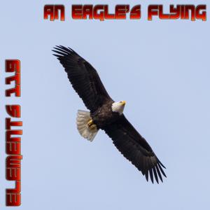 Picture for song 'An Eagle Flying' by artist 'Elements 119'