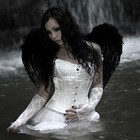 Picture for song 'Fallen Angels (Buy 1 get 4 FREE)' by artist 'Errol Beats'
