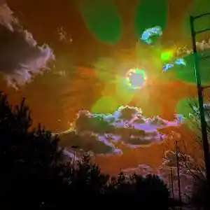 Picture for song 'cerebrel' by artist 'Err0r'