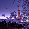 Picture for song 'Sunset in Tokyo' by artist 'Gabriele Saro'