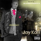 Picture for song '08 - Motivated by Doubt' by artist 'Jay Kalii'