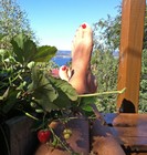 Picture for song 'Funk the Skunk - www.jensong.com.au.mp3' by artist 'Jeni Wallwork'