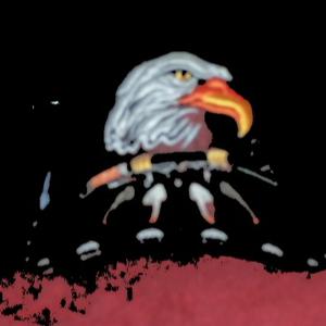 Picture for song 'Broken Wings Fly Again' by artist 'Jerry Kratzmeyer'