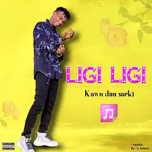 Picture for song 'LIGI LIGI' by artist 'Kawu Dan Sarki'