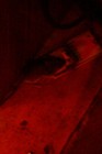 Picture for song 'Seratted Edge.mp3' by artist 'KillYourSelfNowBich'