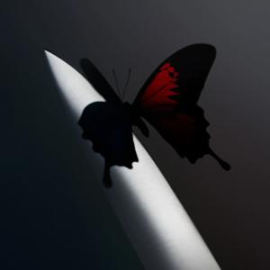 Picture for song 'Carats' by artist 'Kontrabandz'