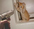 Picture for song 'Put Em Up' by artist 'Linkz from PH Legion'