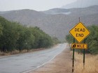 Picture for song 'End of the Road **PD**' by artist 'Lonestar Beatz'