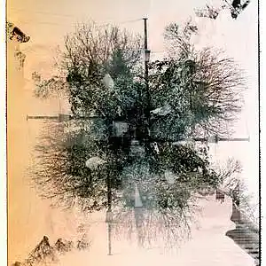 Picture for song 'Paradox (Experimental Hip Hop Beat)' by artist 'Lufivu'