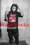Picture for song 'wacka flocka flames' by artist 'Lunatic Yeh'