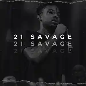 Picture for song '*FREE* 21 Savage x Metro Boomin Type Beat - Flag' by artist 'LuxuryBeats'