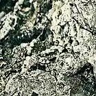 Picture for song 'OSHI KITO-fault' by artist 'oshi kito'