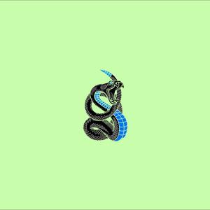 Picture for song '"Snake" - Fivio Foreign x SLEEPY HALLOW - Beat' by artist 'Paper Prod'