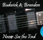 Picture for song 'Never See The End' by artist 'Peter Guyenette'