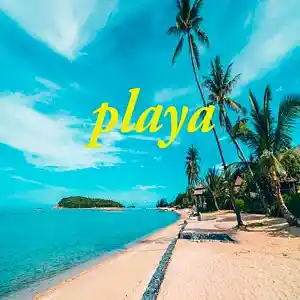 Picture for song 'playa' by artist 'PINARES ON THE BEATS'