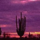 Picture for song 'Abstract Visions' by artist 'Poetic Flow (Bthugg)'