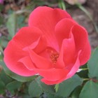 Picture for song 'Missing You - - Output - Stereo Out.mp3' by artist 'PRDClass'