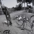 Picture for song 'All in the Mind' by artist 'RADIO-LAB'