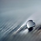 Picture for song 'Bloody Bee' by artist 'Rainie Thao Vy'