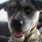 Picture for song 'Raze' by artist 'Riffsdower'