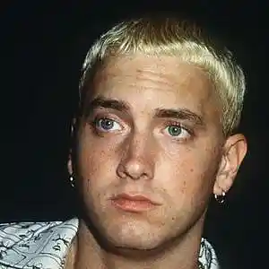 Picture for song 'Slim Shady' by artist 'Roccos'